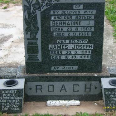 ROACH :: POOLE