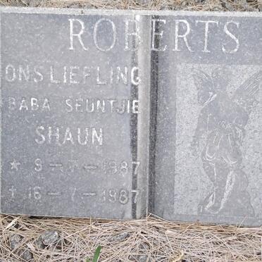 ROBERTS Shaun 1987-1987