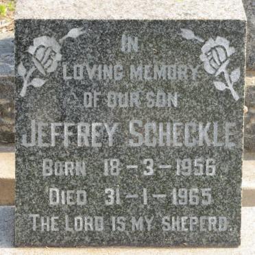 SCHECKLE Jeffrey 1956-1965
