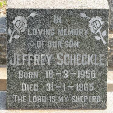 SCHECKLE Jeffrey 1956-1965