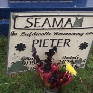 SEAMAN Pieter 1985-2004