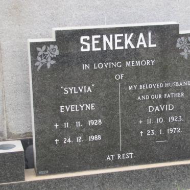 SENEKAL David 1923-1972 &amp; Evelyne 1928-1988
