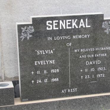 SENEKAL David 1923-1972 &amp; Evelyne 1928-1988