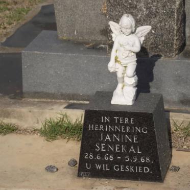 SENEKAL Janine 1968-1968