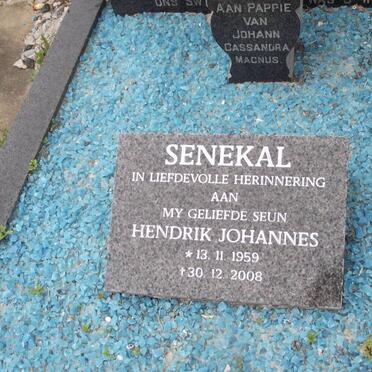 SENEKAL Hendrik Johannes 1959-2008
