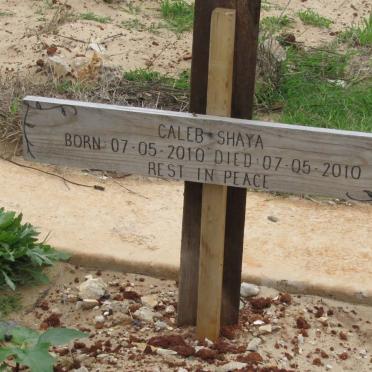 SHAYA Caleb 2010-2010