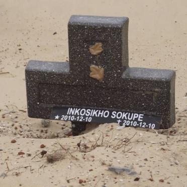 SOKUPE Inkosikho 2010-2010
