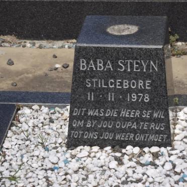STEYN 1978-1978.