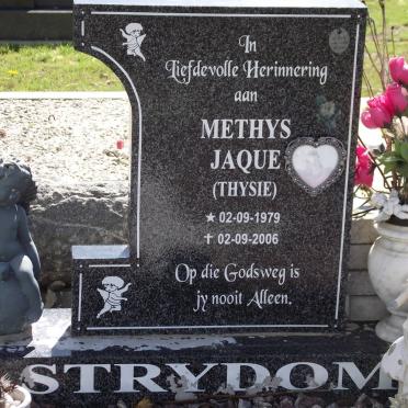 STRYDOM Methys Jaque 1979-2006