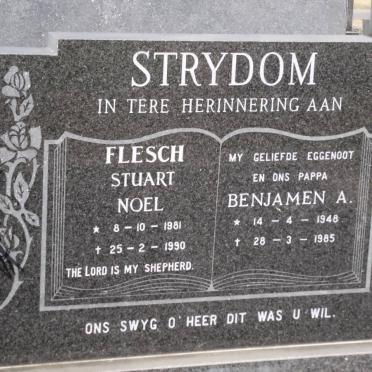 STRYDOM Benjamen A. 1948-1985 :: FLESCH Stuat Noel 1981-1990
