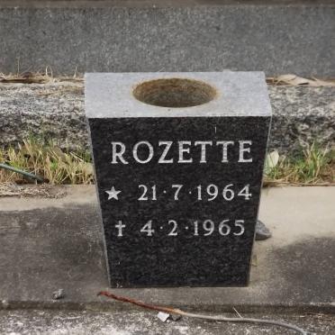 STRYDOM Rozette 1964-1965