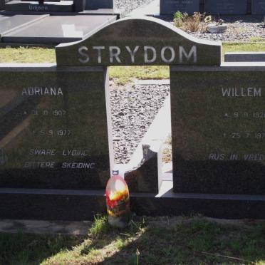 STRYDOM Adrana 1907-1977 :: STRYDOM Willem 1920-1979
