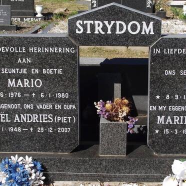 STRYDOM