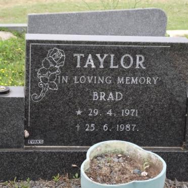 TAYLOR Brad 1971-1987