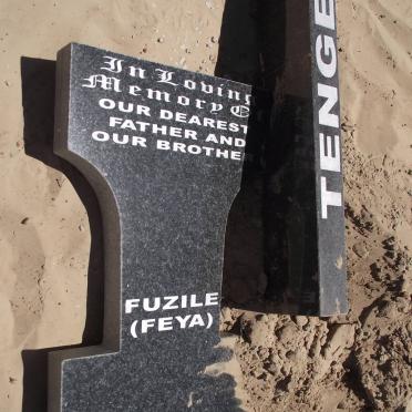 TENGE Fuzile 1968-2012