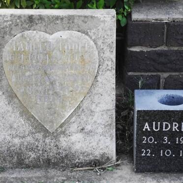 TOOLE Pamela 1964-1965