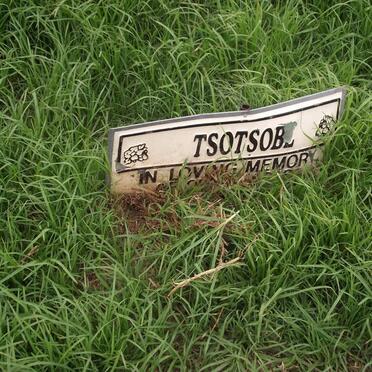 TSOTSOBE 2008-2008