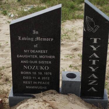 TYATYAZA Nozuko 1976-2012