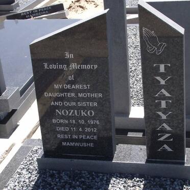 TYATYAZA Nozuko 1976-2012