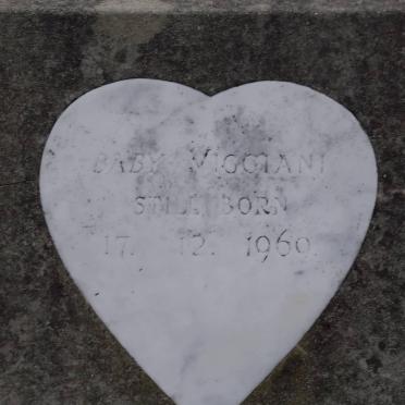 VIGGIANI 1969-1969