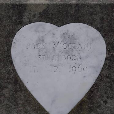 VIGGIANI 1969-1969