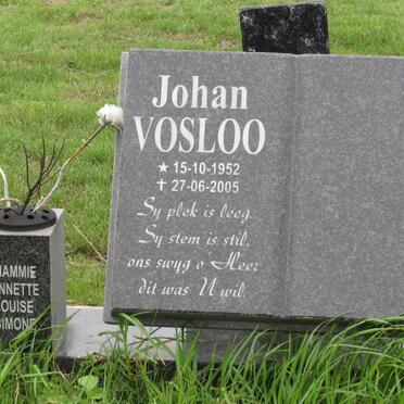VOSLOO Johan 1952-2005