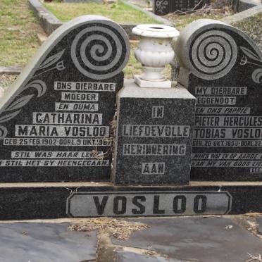 VOSLOO Pieter Hercules Tobias 1890-1960 &amp; Catharina Maria 1902-1987