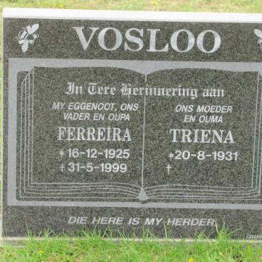 VOSLOO S.S. Ferreira 1925-1999 &amp; Triena 1931-