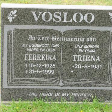 VOSLOO S.S. Ferreira 1925-1999 &amp; Triena 1931-