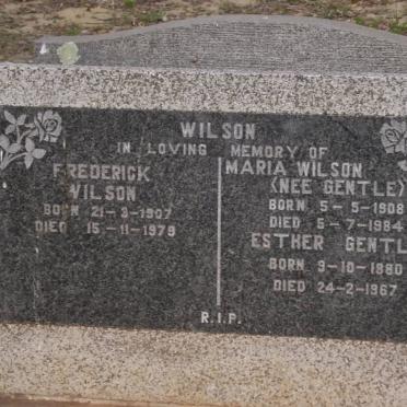 WILSON :: GENTLE