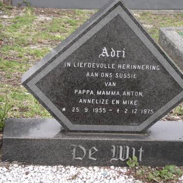 WIT Adri, de 1955-1975