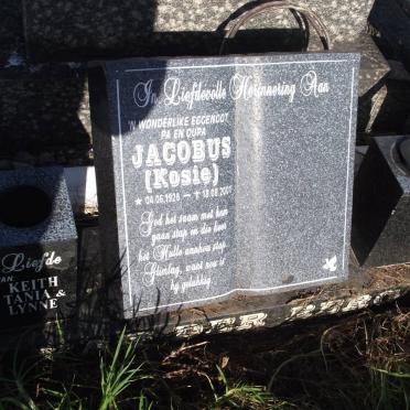 BERG Jacobus, van der 1926-2001