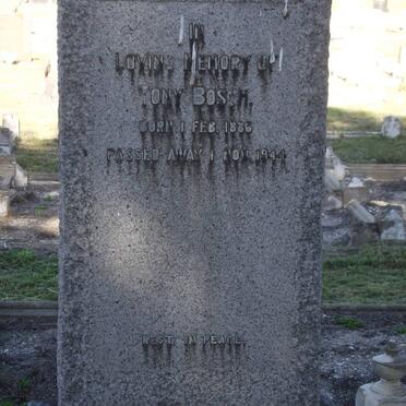 BOSCH Tony 1886-1944