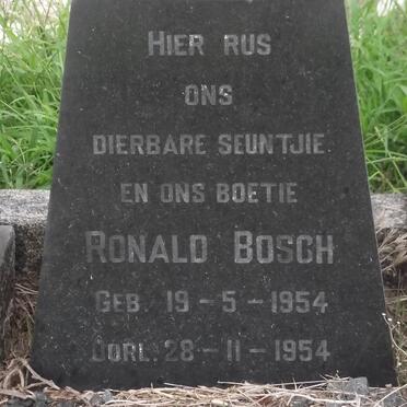 BOSCH Ronald 1954-1954
