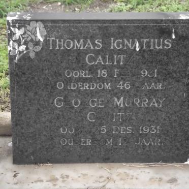 CALITZ Thomas Ignatius -1931 :: CALITZ George Murray -1931