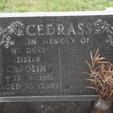 CEDRASS Caroline -1951