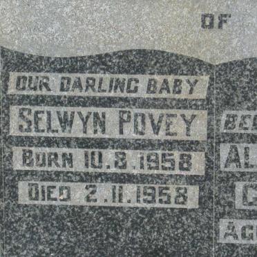 CONNOLLY Alfred Arthur &amp; Lena Magdalena :: POVEY Selwyn 1958-1958 
