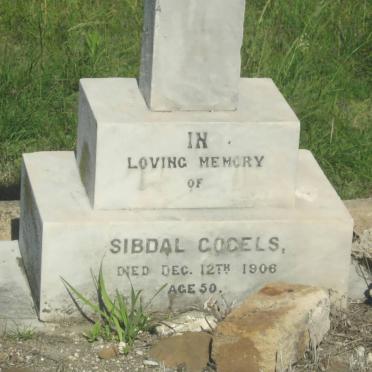 COCELS Sibdal -1906