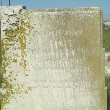 DIEDERICH Ernst Stephanus 1967-1941