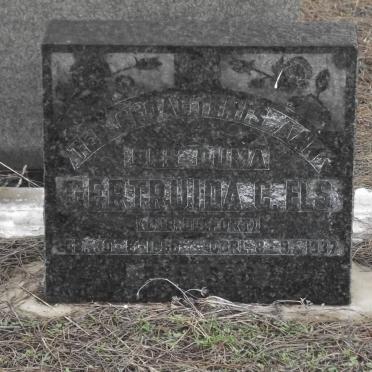 ELS Gertruida C. DELPORT 1850-1932