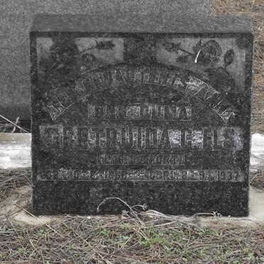 ELS Gertruida C. DELPORT 1850-1932