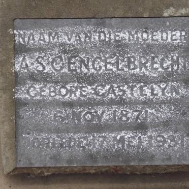 ENGELBRECHT A.S.C. nee CASTELYN 1871-1931