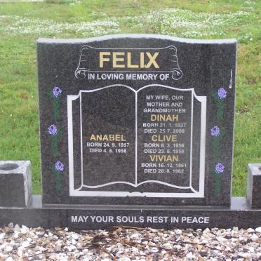 FELIX 