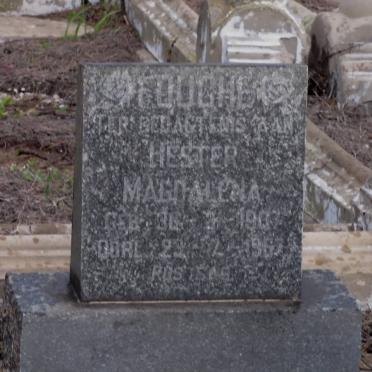 FOUCHE Hester Magdalena 1907-1963