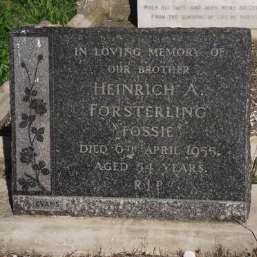 FOSTERLING Heinrich A. -1955