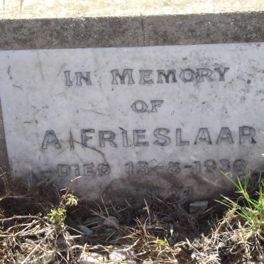 FRIESLAAR A. -1936