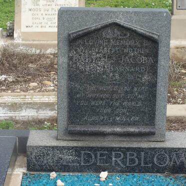 GELDERBLOM Baby L. Jacoba nee BARNARD -1951