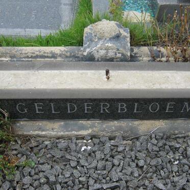 GELDERBLOEM
