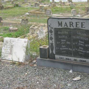 MAREE :: NEFF 