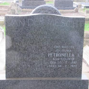 MESCHT ?, van der 189?-1972 &amp; Petronella J. GOUWS 1897-1975